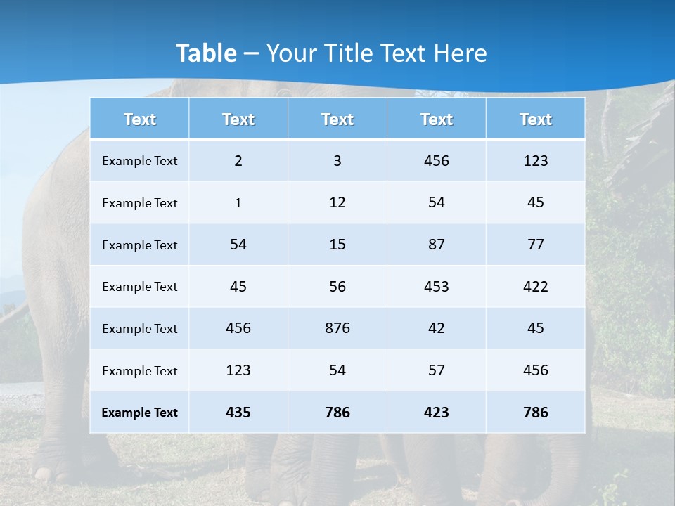 Trunk Travel Portrait PowerPoint Template