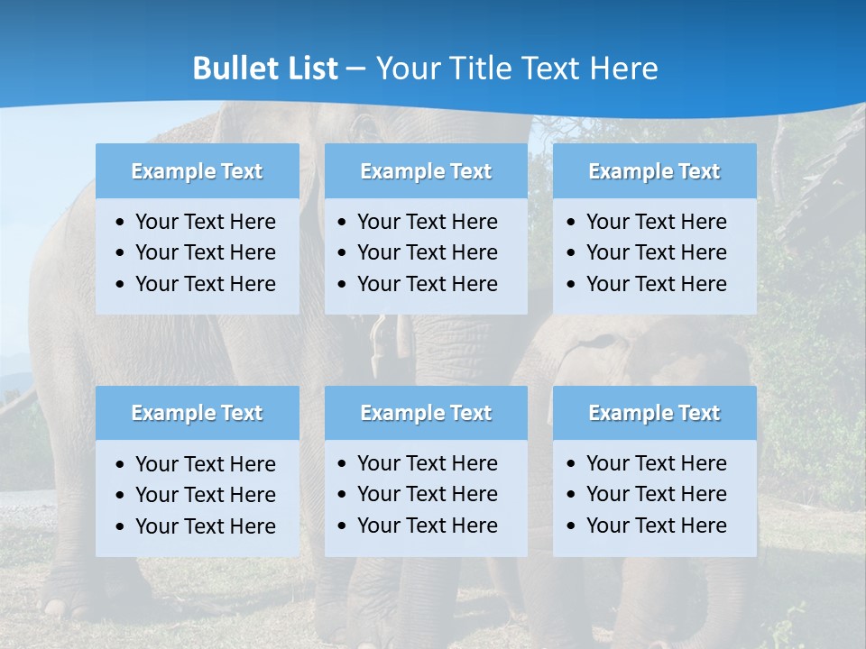 Trunk Travel Portrait PowerPoint Template