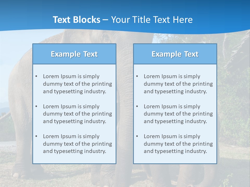 Trunk Travel Portrait PowerPoint Template