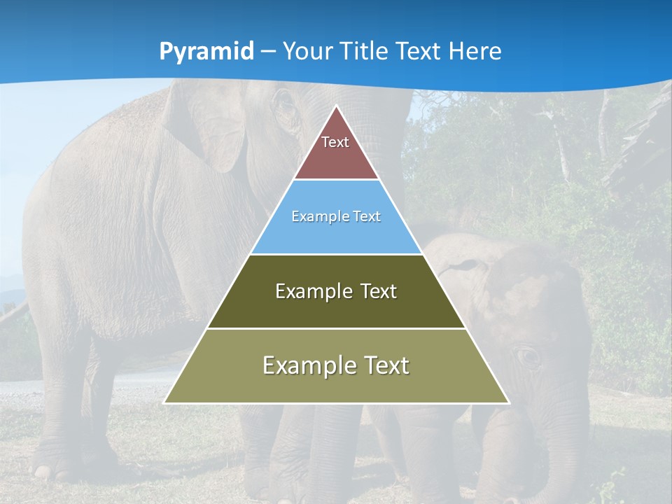 Trunk Travel Portrait PowerPoint Template