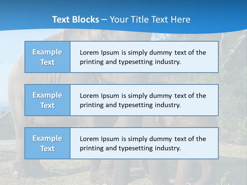 Trunk Travel Portrait PowerPoint Template