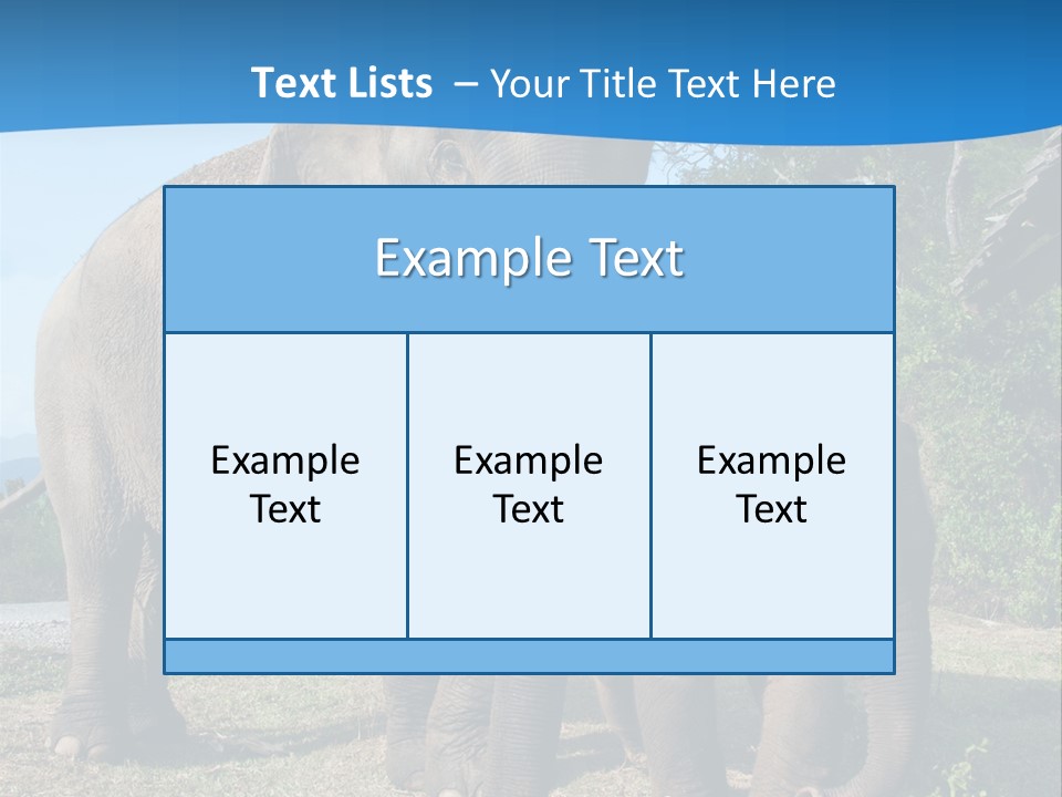Trunk Travel Portrait PowerPoint Template