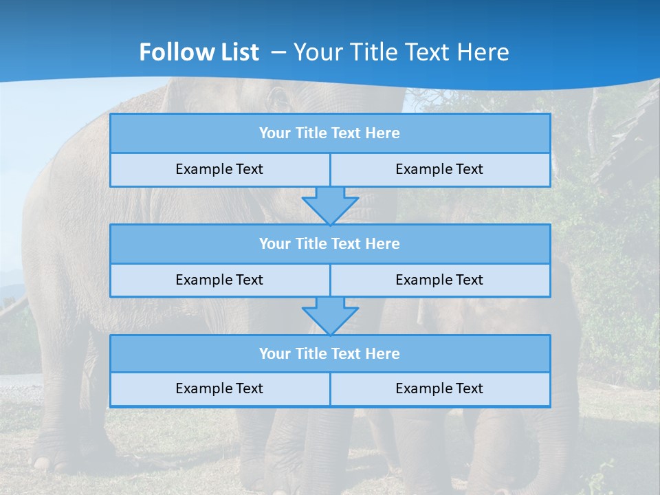 Trunk Travel Portrait PowerPoint Template