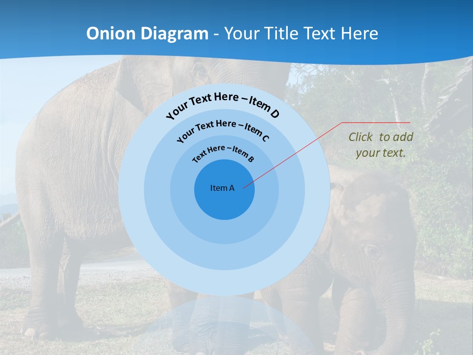 Trunk Travel Portrait PowerPoint Template