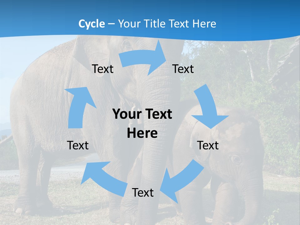 Trunk Travel Portrait PowerPoint Template