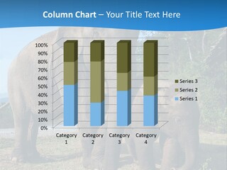 Trunk Travel Portrait PowerPoint Template