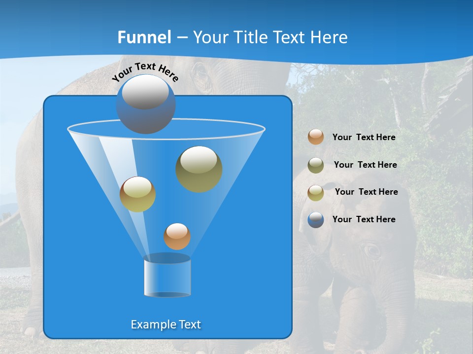 Trunk Travel Portrait PowerPoint Template