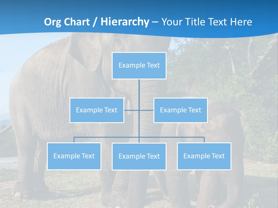 Trunk Travel Portrait PowerPoint Template