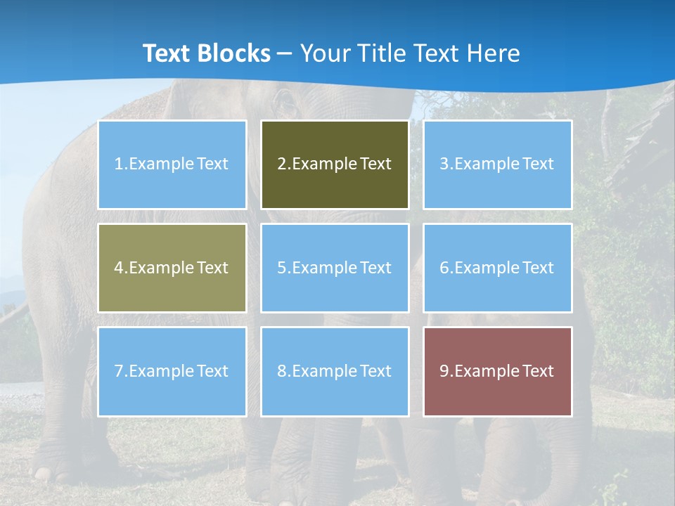 Trunk Travel Portrait PowerPoint Template