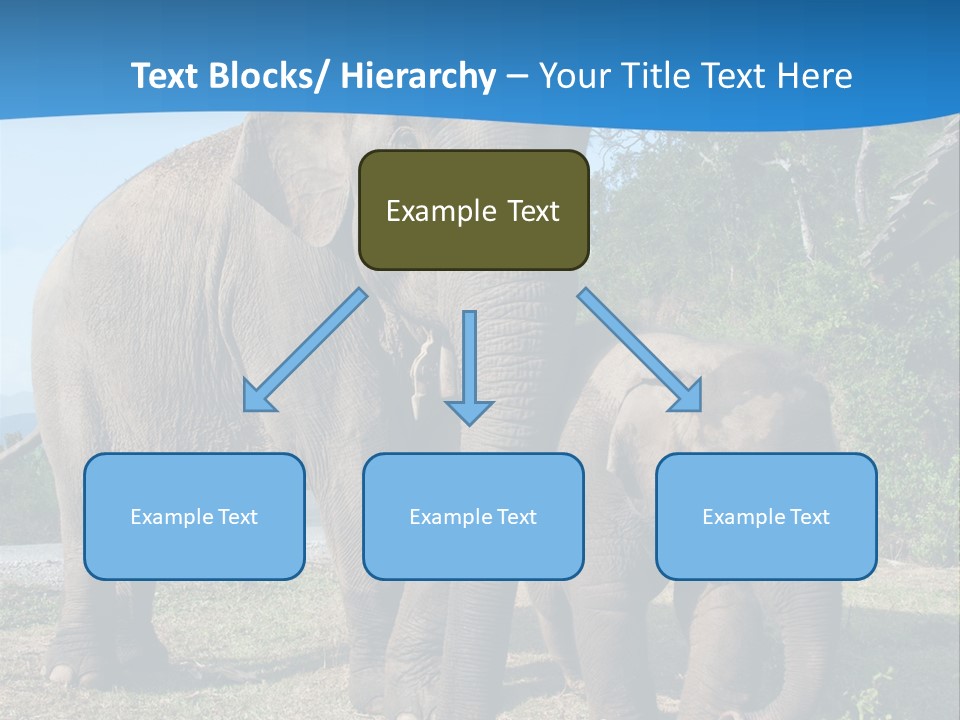 Trunk Travel Portrait PowerPoint Template