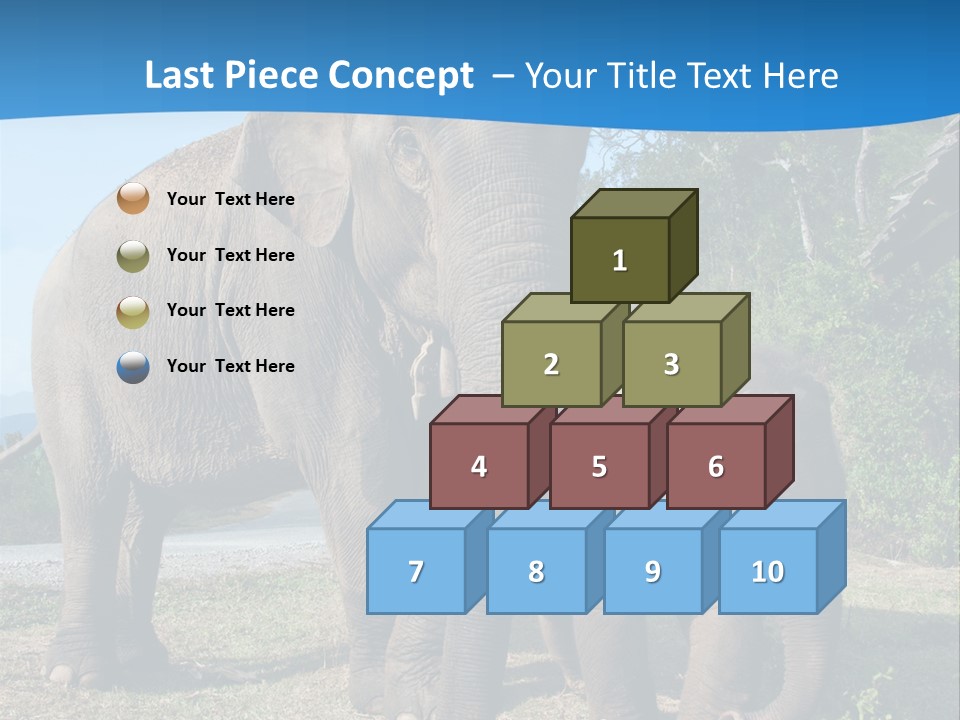 Trunk Travel Portrait PowerPoint Template