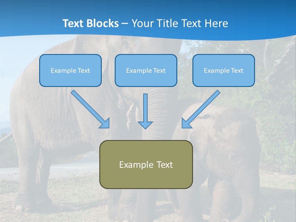 Trunk Travel Portrait PowerPoint Template