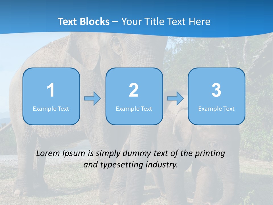 Trunk Travel Portrait PowerPoint Template