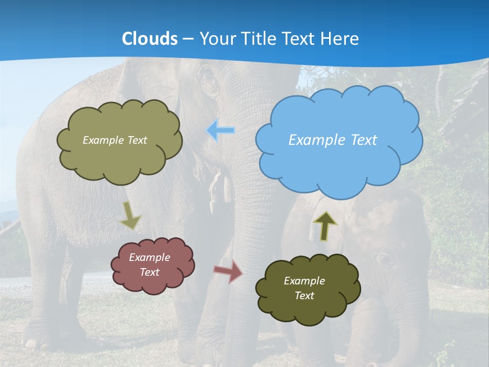Trunk Travel Portrait PowerPoint Template