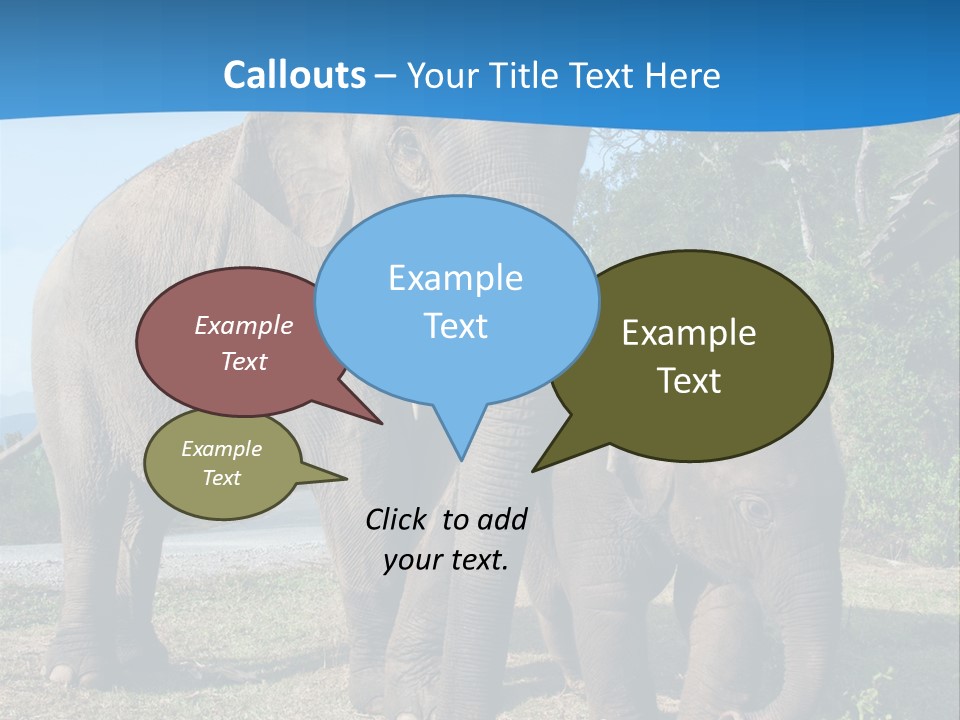 Trunk Travel Portrait PowerPoint Template