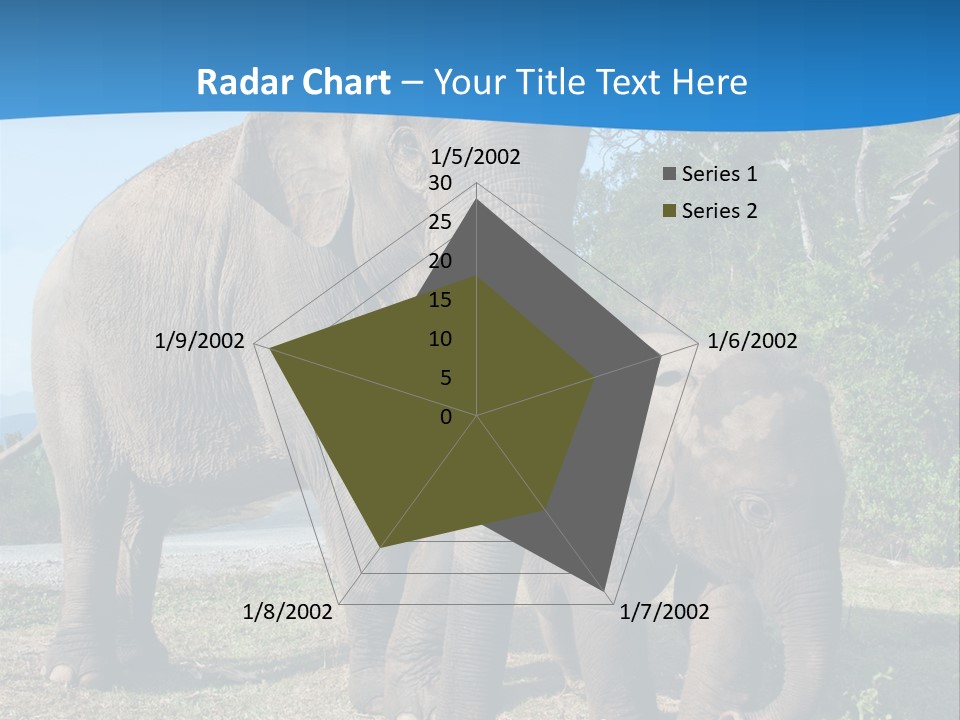 Trunk Travel Portrait PowerPoint Template