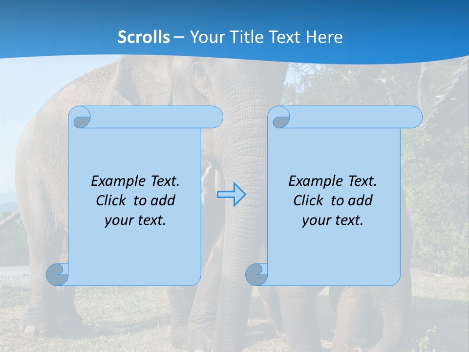Trunk Travel Portrait PowerPoint Template