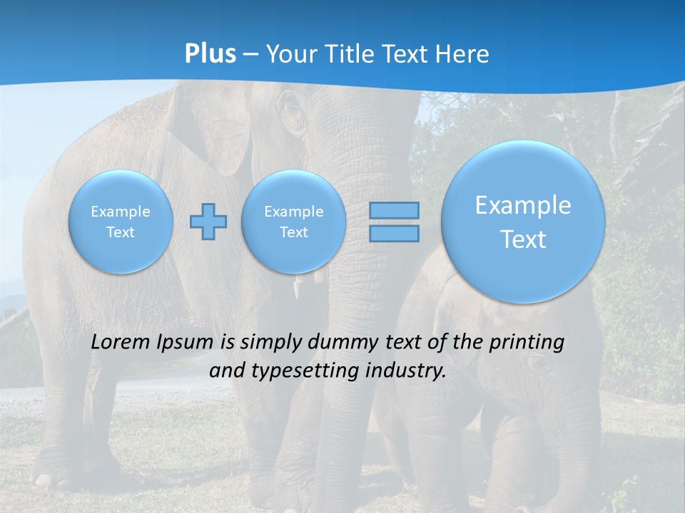 Trunk Travel Portrait PowerPoint Template