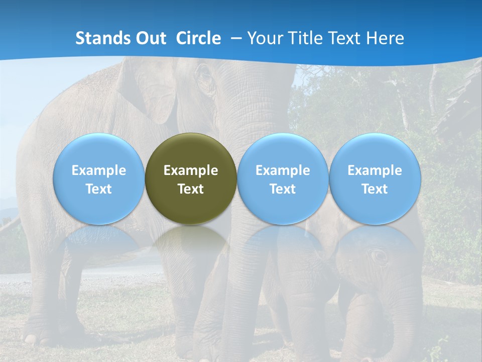 Trunk Travel Portrait PowerPoint Template