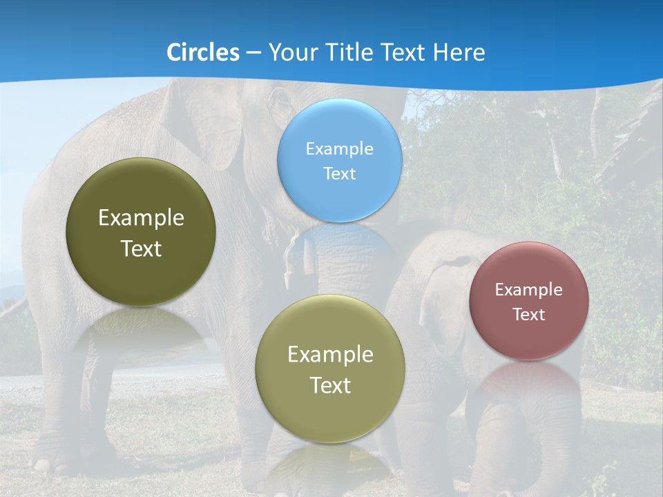 Trunk Travel Portrait PowerPoint Template