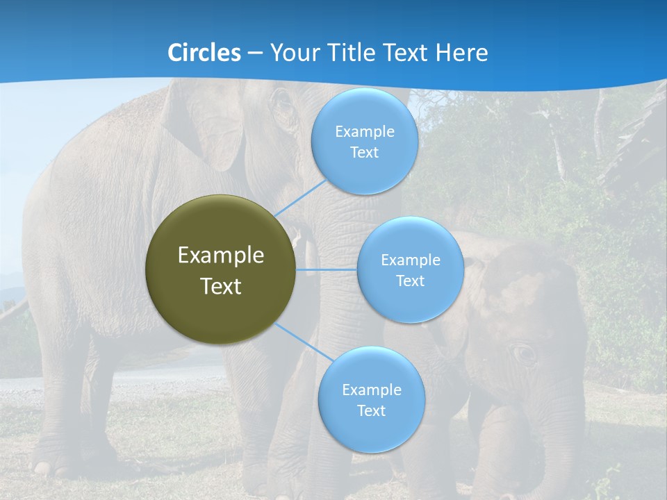 Trunk Travel Portrait PowerPoint Template