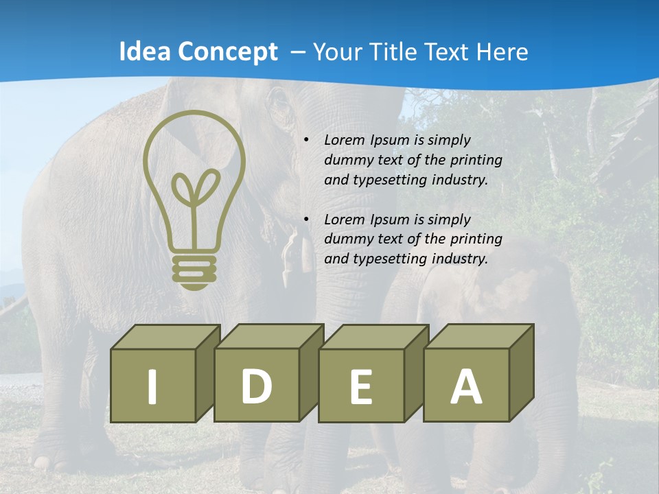 Trunk Travel Portrait PowerPoint Template