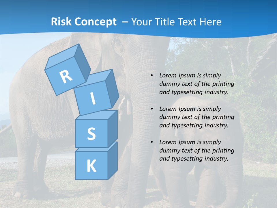 Trunk Travel Portrait PowerPoint Template