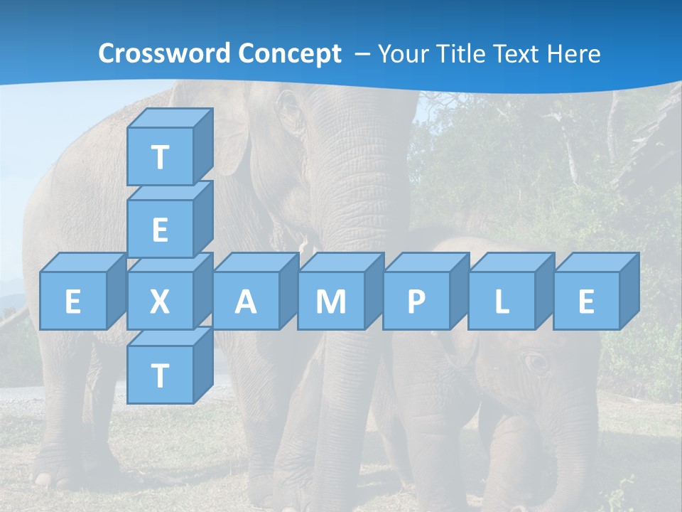 Trunk Travel Portrait PowerPoint Template