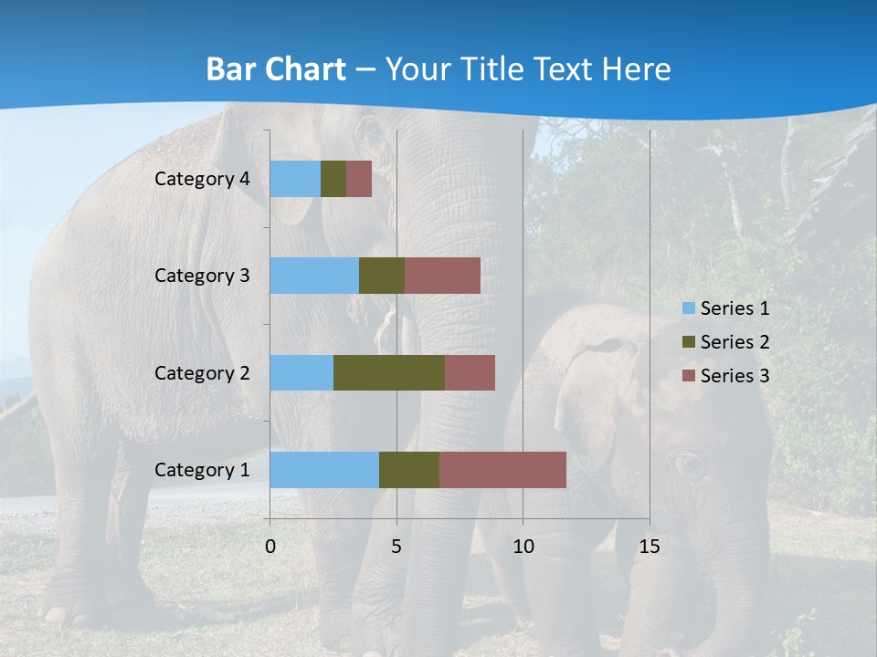 Trunk Travel Portrait PowerPoint Template
