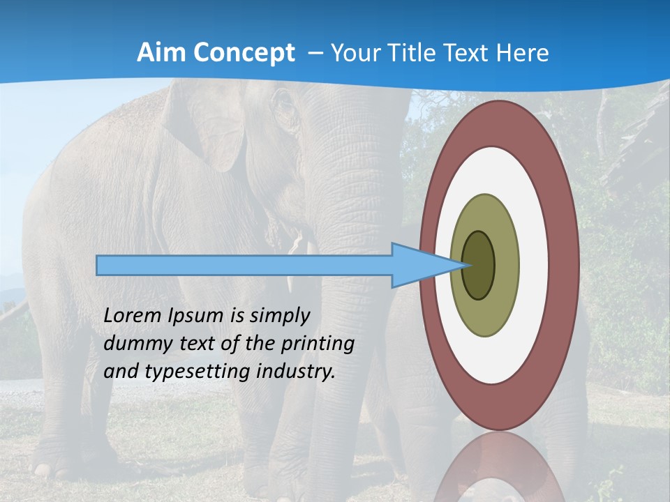 Trunk Travel Portrait PowerPoint Template