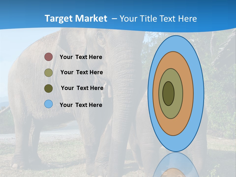 Trunk Travel Portrait PowerPoint Template