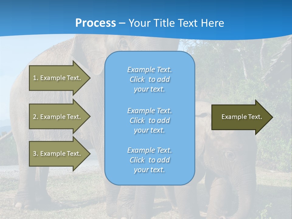 Trunk Travel Portrait PowerPoint Template