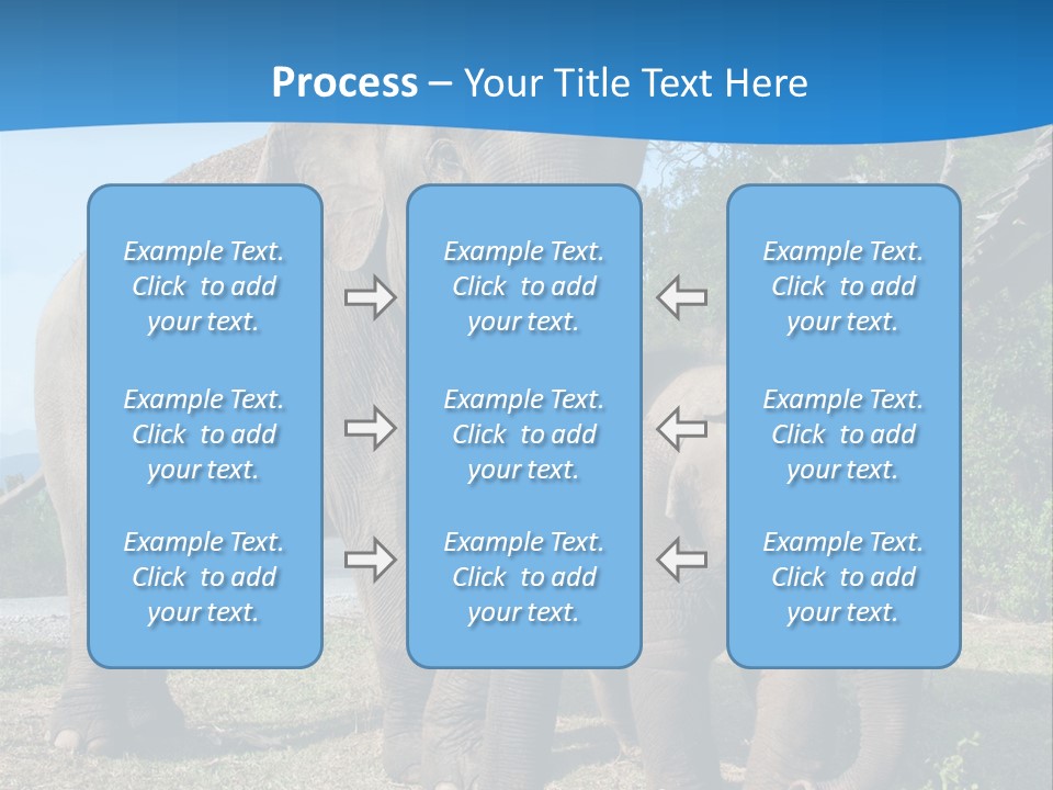 Trunk Travel Portrait PowerPoint Template