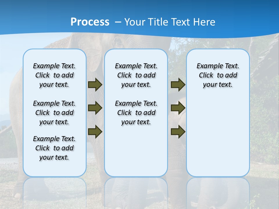 Trunk Travel Portrait PowerPoint Template