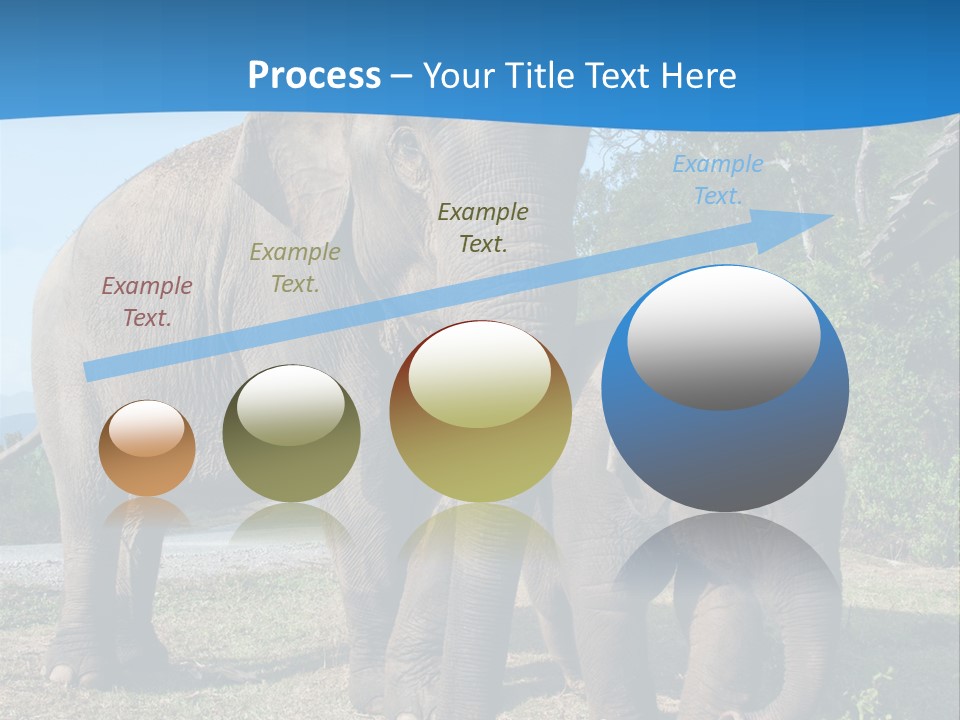 Trunk Travel Portrait PowerPoint Template