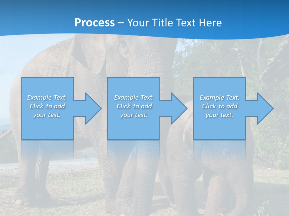 Trunk Travel Portrait PowerPoint Template