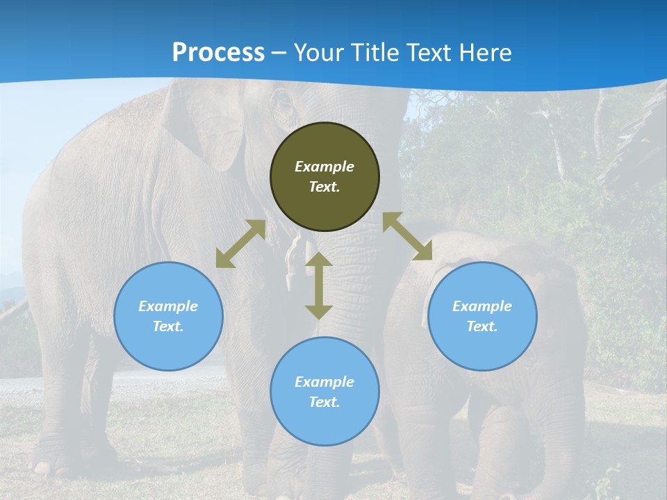 Trunk Travel Portrait PowerPoint Template