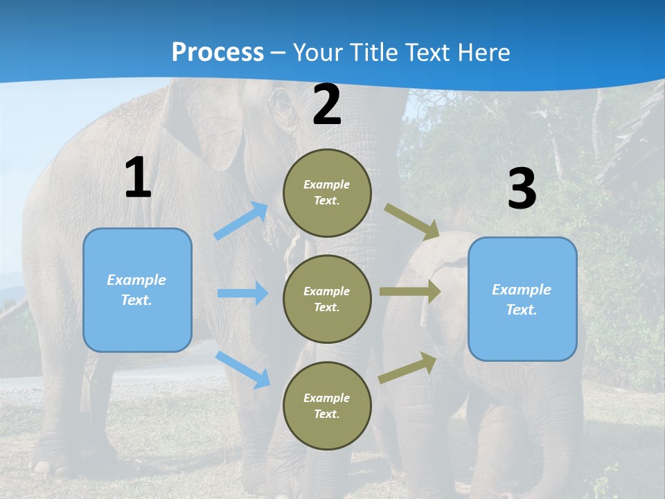 Trunk Travel Portrait PowerPoint Template