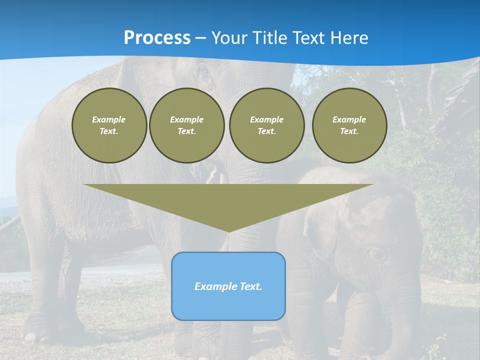 Trunk Travel Portrait PowerPoint Template