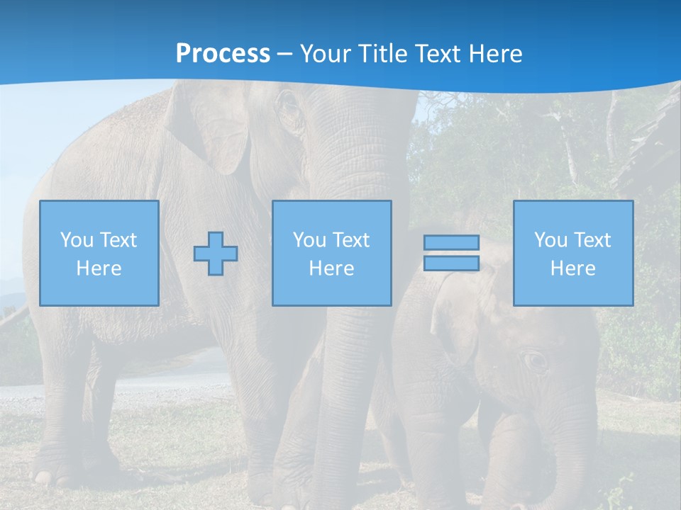 Trunk Travel Portrait PowerPoint Template