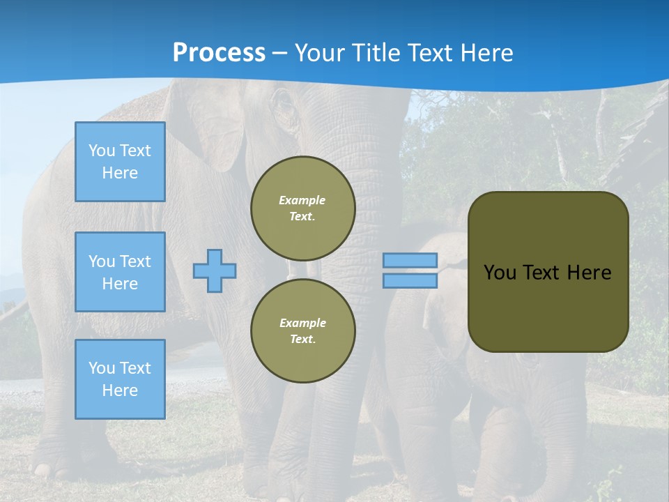 Trunk Travel Portrait PowerPoint Template