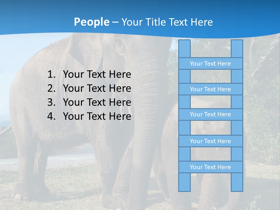 Trunk Travel Portrait PowerPoint Template