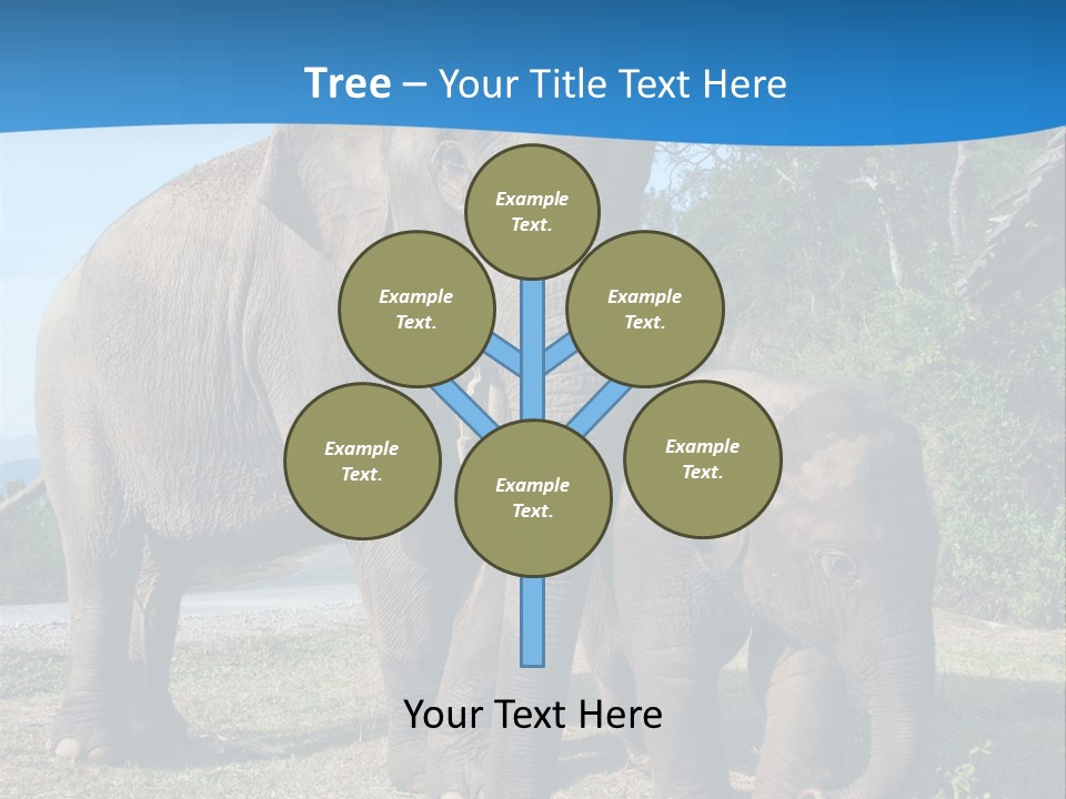 Trunk Travel Portrait PowerPoint Template