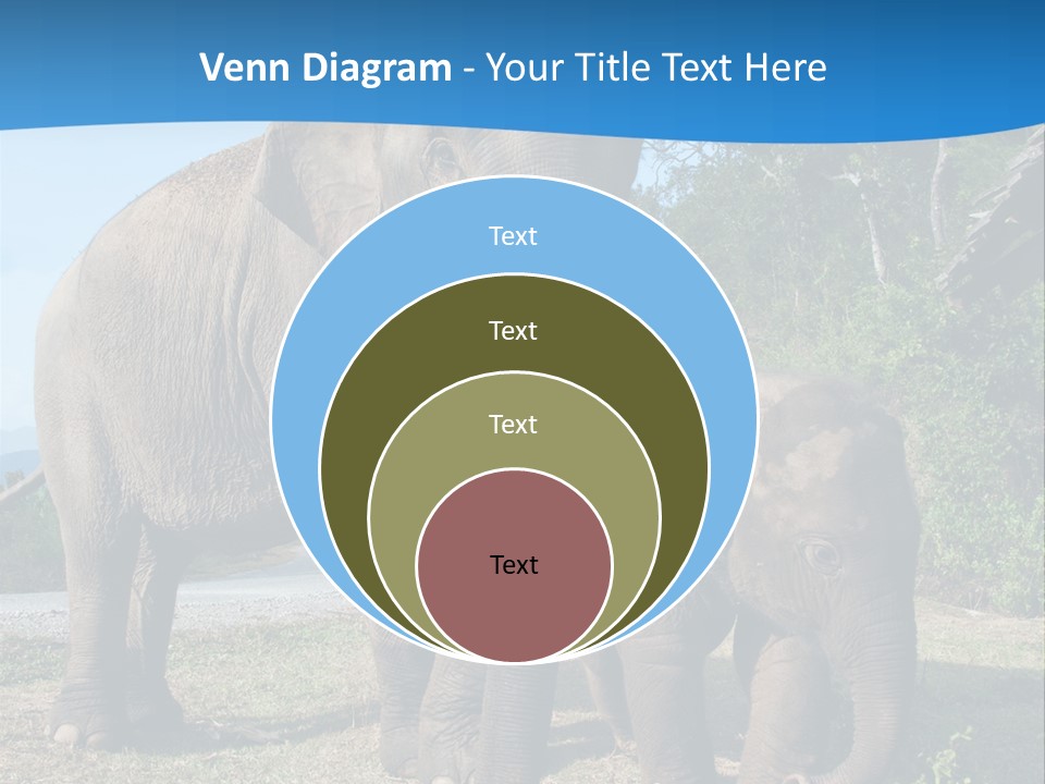 Trunk Travel Portrait PowerPoint Template
