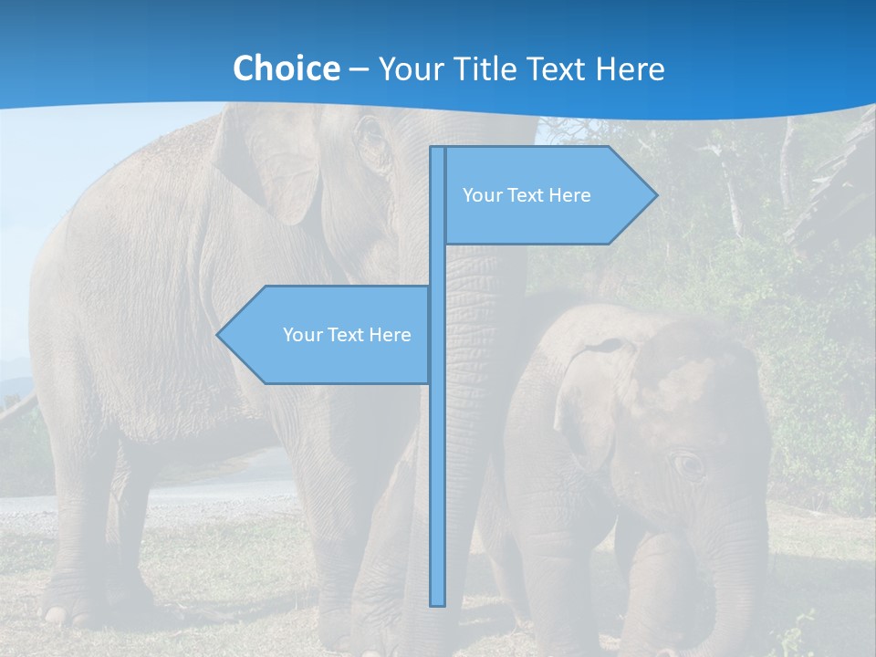 Trunk Travel Portrait PowerPoint Template