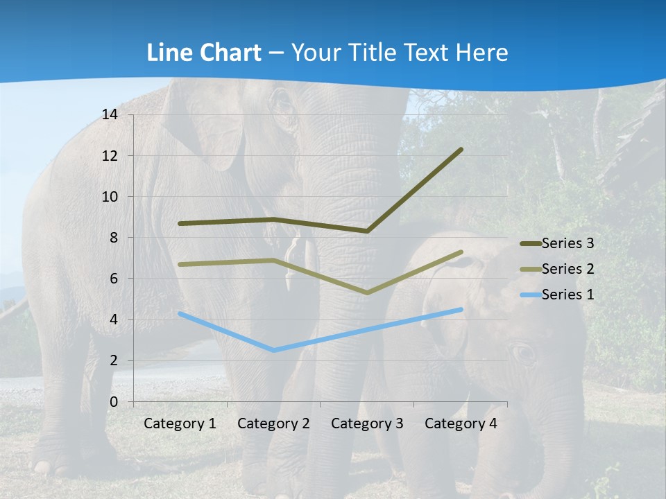 Trunk Travel Portrait PowerPoint Template