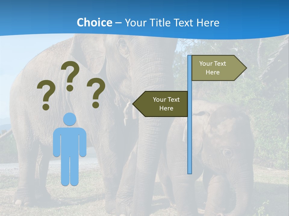 Trunk Travel Portrait PowerPoint Template