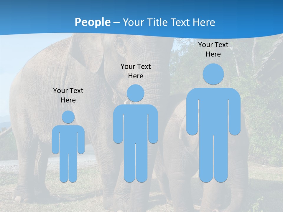 Trunk Travel Portrait PowerPoint Template