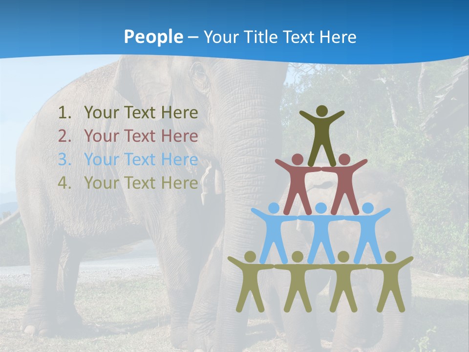 Trunk Travel Portrait PowerPoint Template