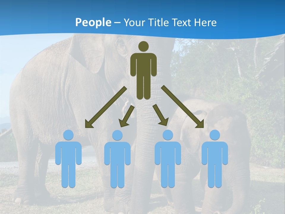 Trunk Travel Portrait PowerPoint Template